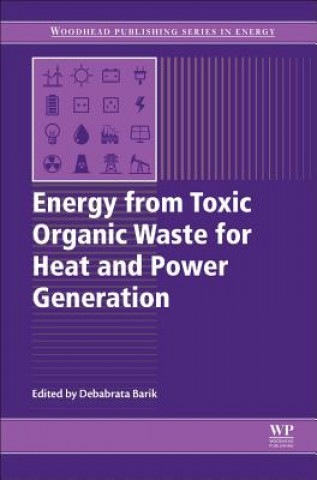 Könyv Energy from Toxic Organic Waste for Heat and Power Generation Debabrata Barik