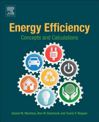 Книга Energy Efficiency Daniel Martinez