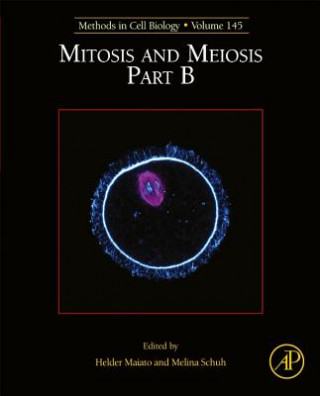 Buch Mitosis and Meiosis Part B Helder Maiato