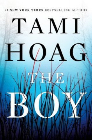 Kniha Boy Tami Hoag