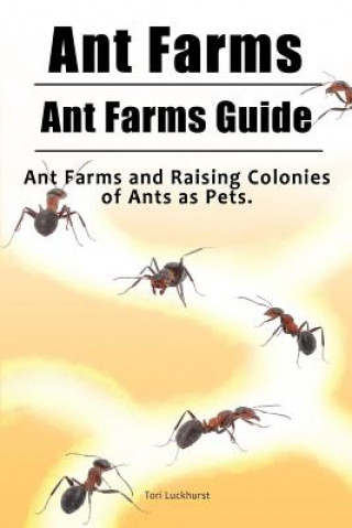 Carte Ant Farms. Ant Farms Guide. Ant Farms and Raising Colonies of Ants as Pets. Tori Luckhurst