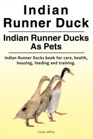 Carte Indian Runner Duck. Indian Runner Ducks As Pets. Indian Runner Ducks book for care, health, housing, feeding and training. Louise Jeffrey