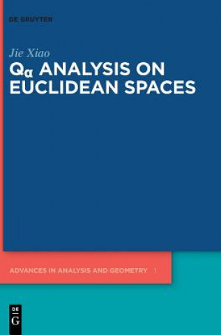 Boek Q  Analysis on Euclidean Spaces Jie Xiao