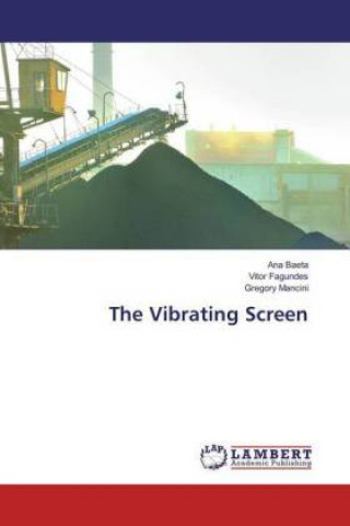 Knjiga The Vibrating Screen Ana Baeta
