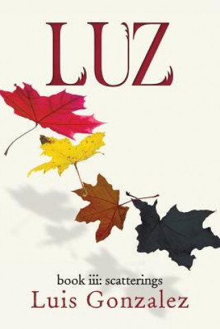 Knjiga Luz: book iii: scatterings Luis Gonzalez