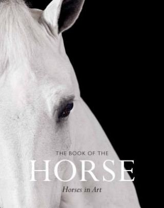 Book Book of the Horse Angus Hyland