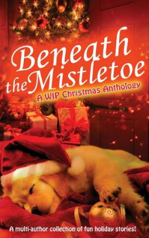 Carte Beneath the Mistletoe Mimi Barbour