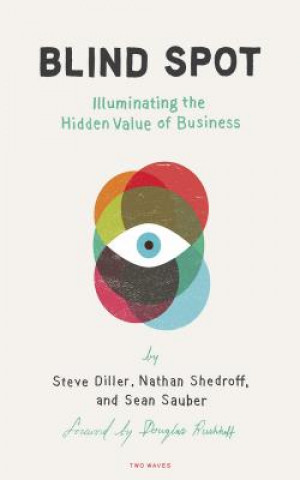 Kniha Blind Spot Steve Diller