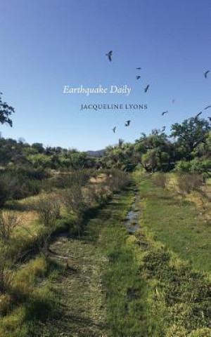 Buch Earthquake Daily Jacqueline Lyons
