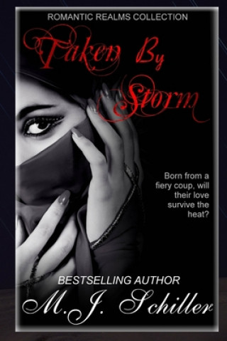 Boek Taken by Storm M J Mary Schiller