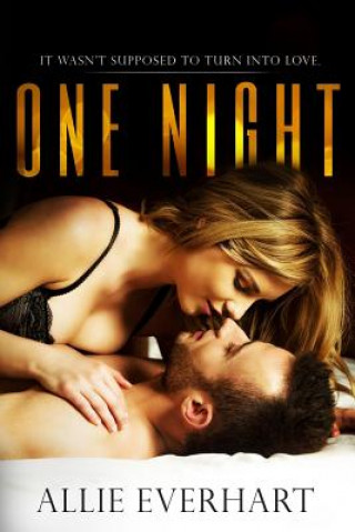 Kniha One Night Allie Everhart