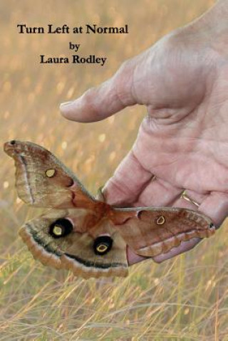 Knjiga Turn Left at Normal Laura Rodley