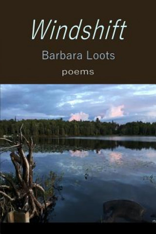 Kniha Windshift Barbara Loots