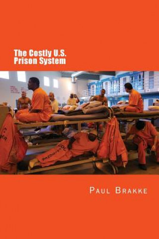 Kniha The Costly U. S. Prison System: Too Costly in Dollars, National Prestige, and Lives Paul Brakke