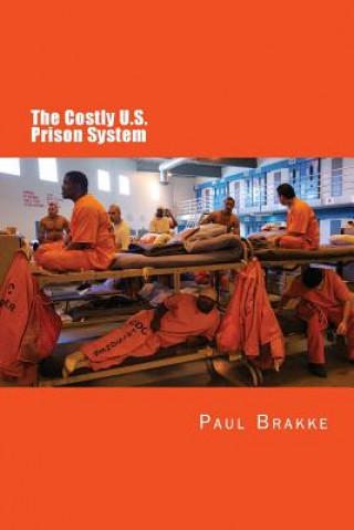 Knjiga The Costly U. S. Prison System: Too Costly in Dollars, National Prestige, and Lives Paul Brakke