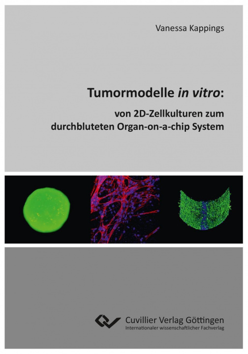 Kniha Tumormodelle in vitro Vanessa Kappings