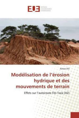 Kniha Modélisation de l'érosion hydrique et des mouvements de terrain Aïman Hili