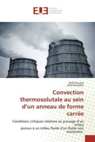 Książka Convection thermosolutale au sein d'un anneau de forme carrée Rafik Rougab