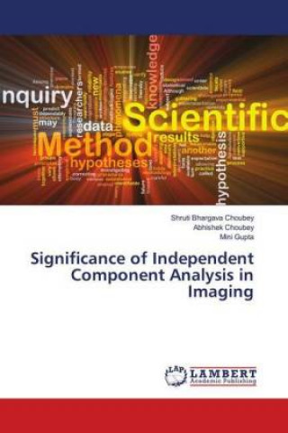 Kniha Significance of Independent Component Analysis in Imaging Shruti Bhargava Choubey