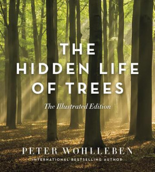 Książka Hidden Life of Trees Peter Wohlleben