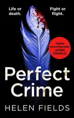 Kniha Perfect Crime Helen Fields