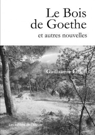 Knjiga Bois de Goethe et autres nouvelles GUILLAUME LIBERT