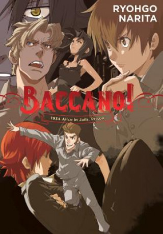 Kniha Baccano!, Vol. 8 (light novel) Ryohgo Narita