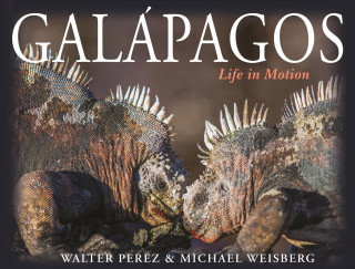 Könyv Galapagos Walter Perez