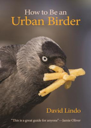 Książka How to Be an Urban Birder David Lindo