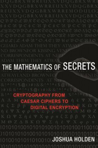 Βιβλίο Mathematics of Secrets Joshua Holden