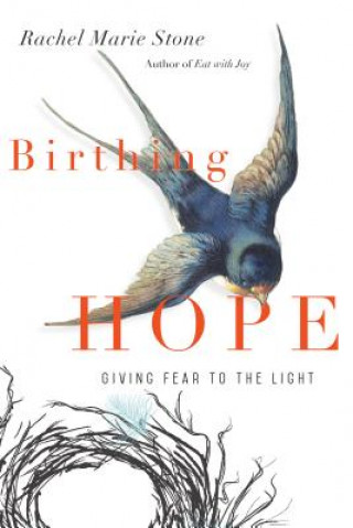 Kniha Birthing Hope - Giving Fear to the Light RACHEL MARIE STONE