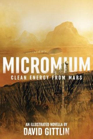 Buch Micromium DAVID B GITTLIN