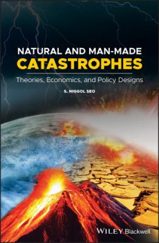 Könyv Natural and Man-made Catastrophes - Theories, Economics, and Policy Designs S. Niggol Seo