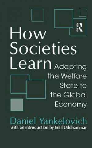 Libro How Societies Learn Daniel Yankelovich