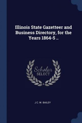 Carte ILLINOIS STATE GAZETTEER AND BUSINESS DI J C. W. BAILEY