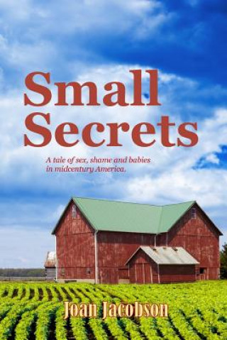 Knjiga Small Secrets Joan Jacobson