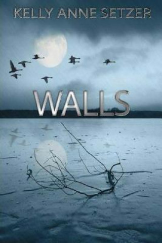 Knjiga Walls Kelly Anne Setzer