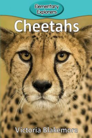 Knjiga Cheetahs Victoria Blakemore