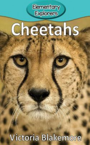 Kniha Cheetahs Victoria Blakemore