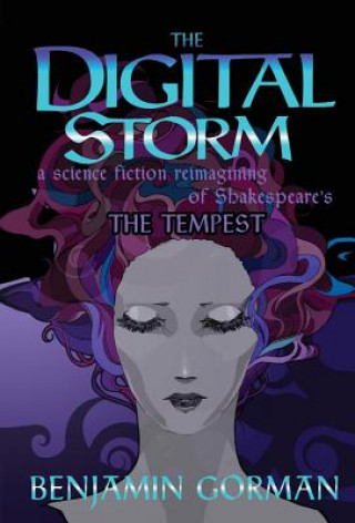 Kniha Digital Storm Benjamin Gorman