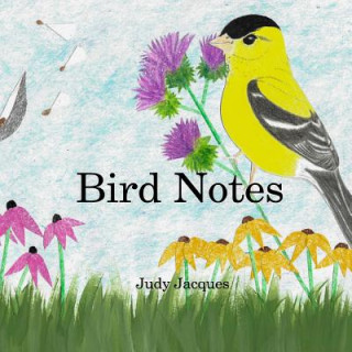 Book Bird Notes Judy Jacques