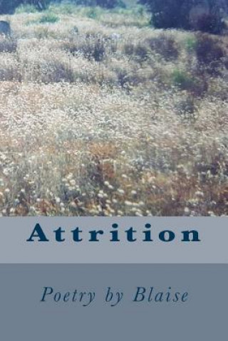 Knjiga Attrition Poetry T M Betterton