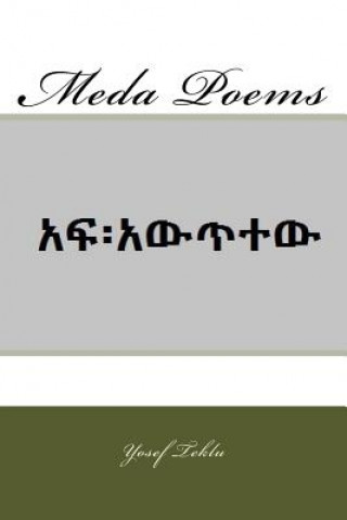 Kniha Meda Poems Yosef T Teklu
