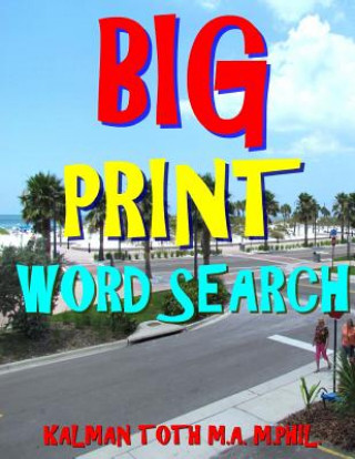 Carte Big Print Word Search: 133 Entertaining Themed Puzzles Kalman Toth M a M Phil
