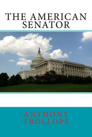 Buch The American Senator Anthony Trollope