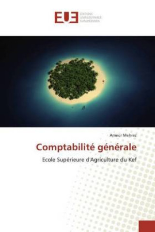 Βιβλίο Comptabilité générale Ameur Mehrez