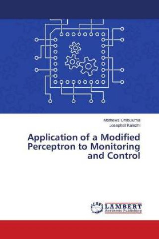 Könyv Application of a Modified Perceptron to Monitoring and Control Mathews Chibuluma