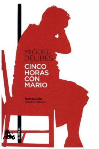 Kniha Cinco horas con Mario Miguel Delibes