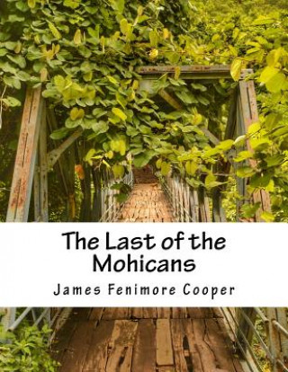 Livre The Last of the Mohicans J F Cooper