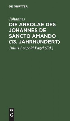 Buch Areolae des Johannes de Sancto Amando (13. Jahrhundert) Johannes